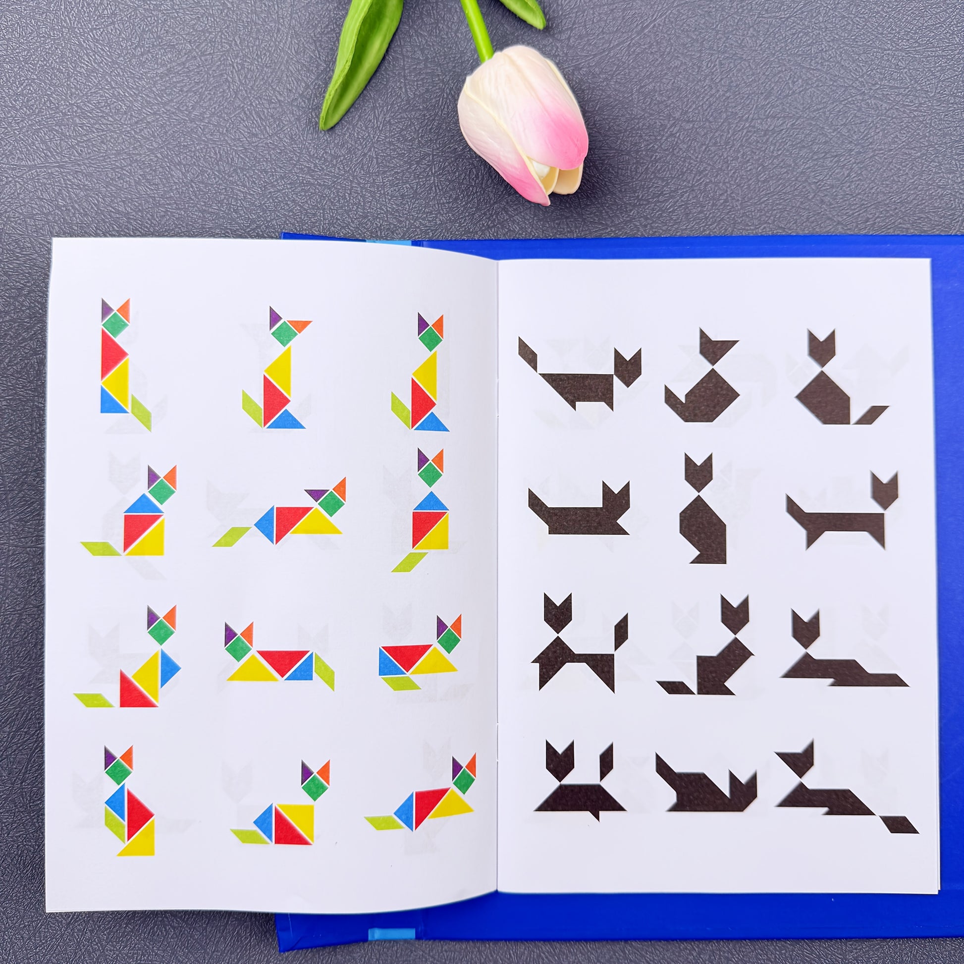 Conjunto de quebra-cabeças Tangram de madeira com clipe de livro portátil - Brinquedo educativo de construção de formas geométricas e aprendizagem cognitiva com desenvolvimento de habilidades de observação - Ideal para iluminação matemática, treino lógico - Presente perfeito para meninos e meninas no Natal, Páscoa, Halloween, aniversários - Inclui peças de madeira coloridas e caixa de armazenamento